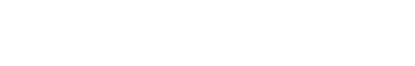 Net Gaming
